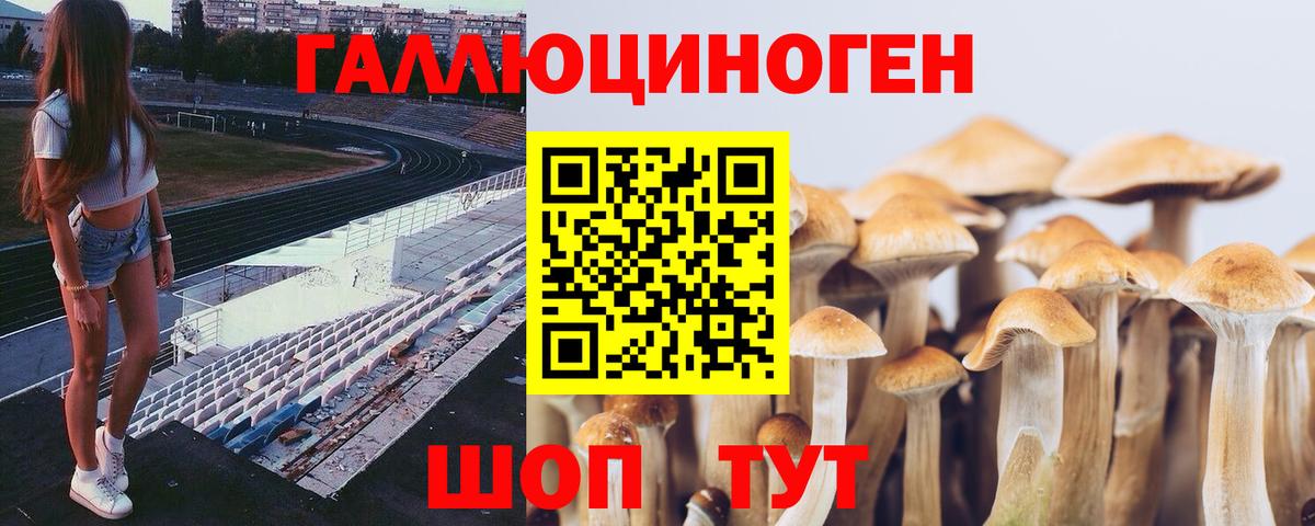 Псилоцибиновые грибы ЛСД Кирово-Чепецк