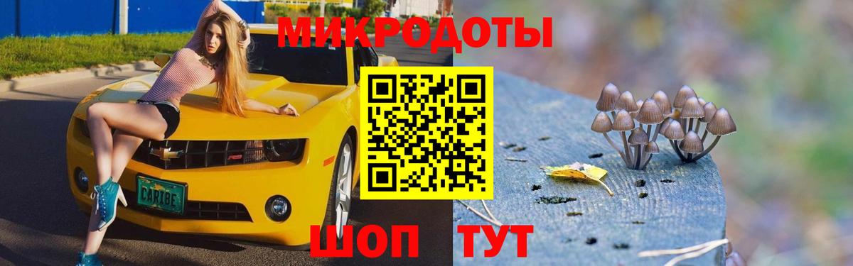 Псилоцибиновые грибы Cubensis  Вход с VPN  Кирово-Чепецк 